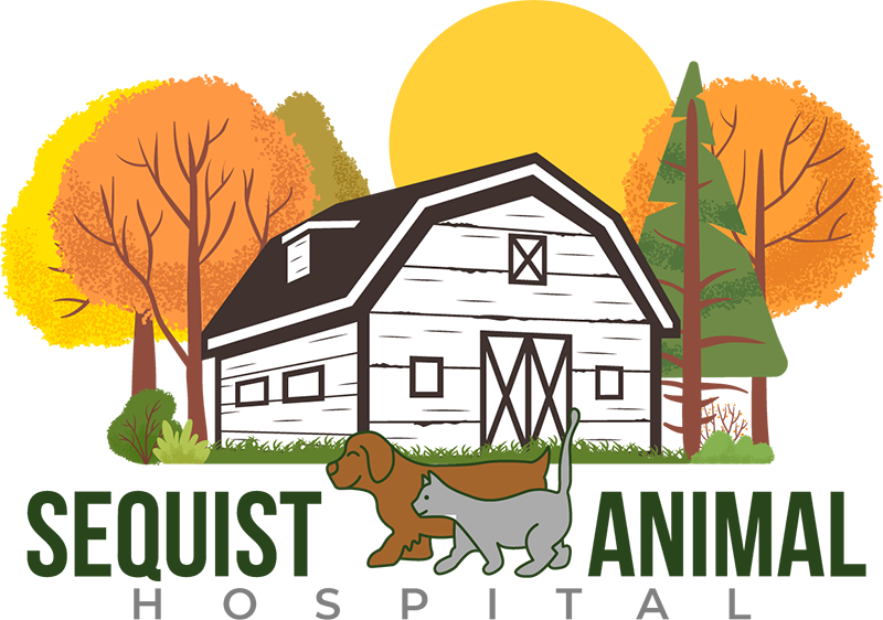 Sequist Animal Hospital