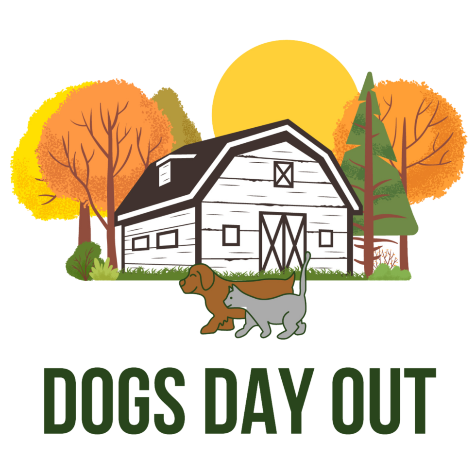 morrisville-vt-dog-daycare-sequist-animal-hospital