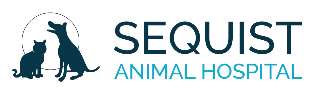 Sequist Animal Hospital