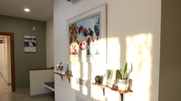 art view